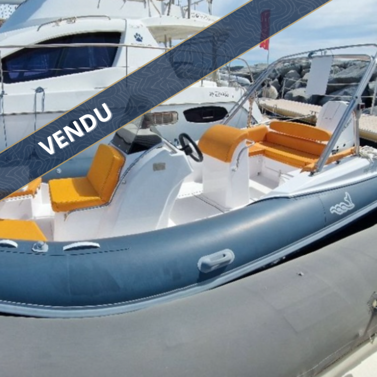 MV MARINE GT 25