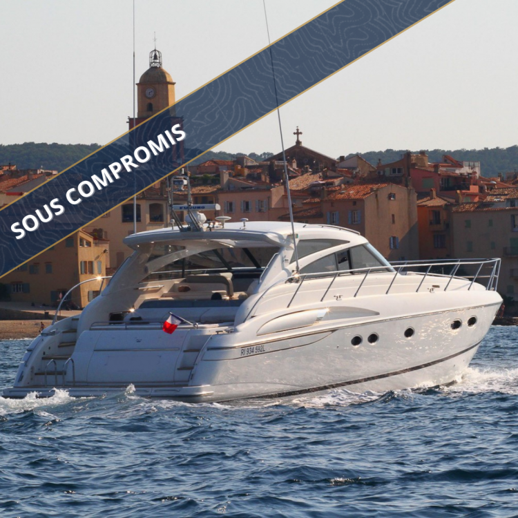 PRINCESS V58